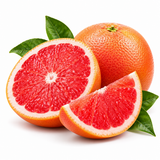 Grapefruit - Shosha Quit Core Device Replacement Sticks